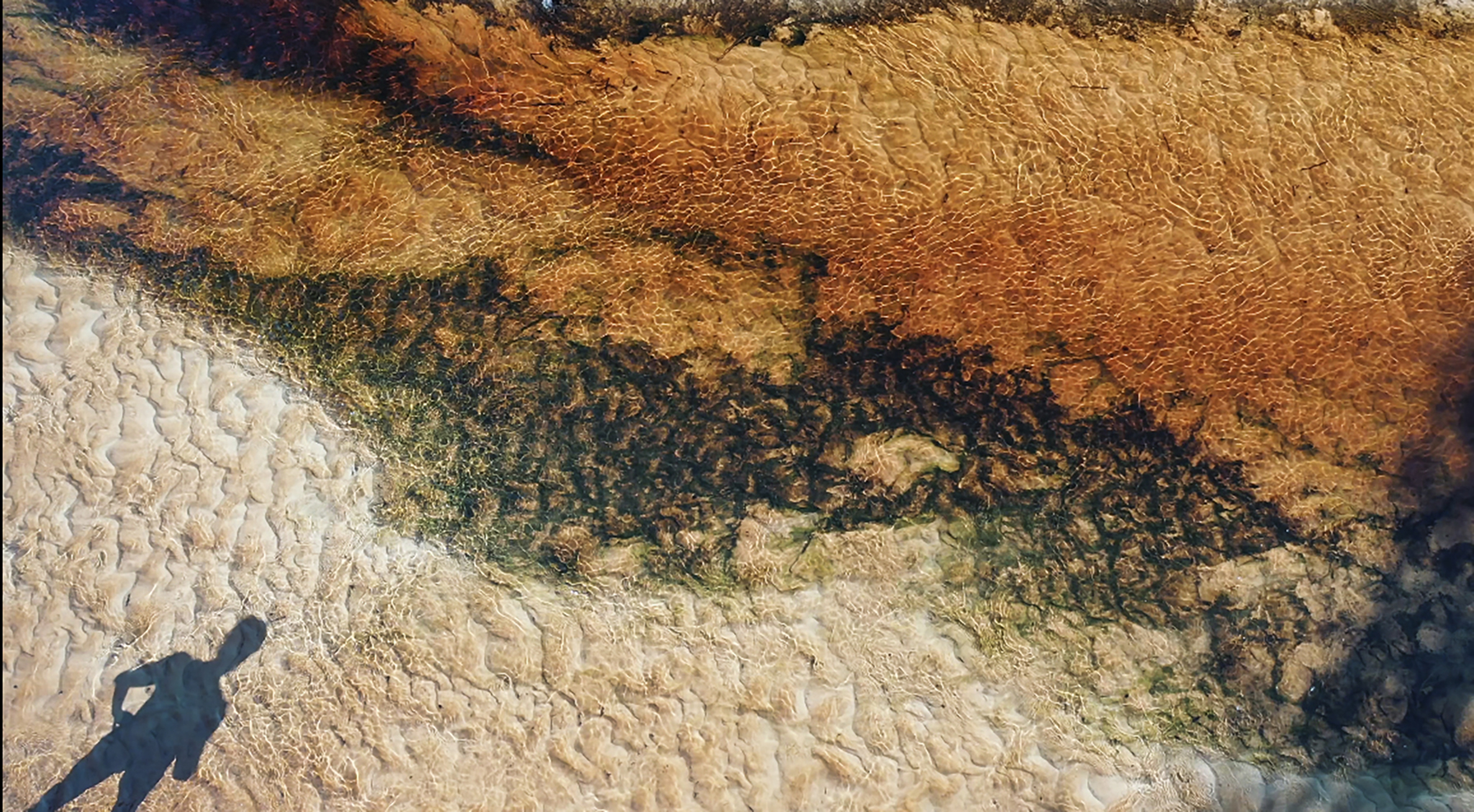 FLORIDA RIVER 02 2022